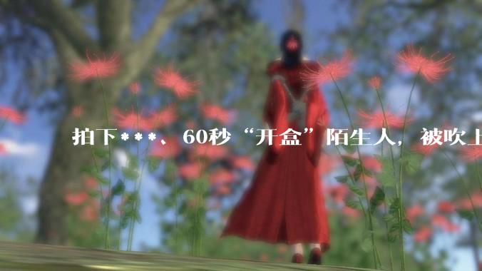 拍下***、60秒“开盒”陌生人，被吹上天的AI眼镜秒变“流氓”？_Meta_数据_用户