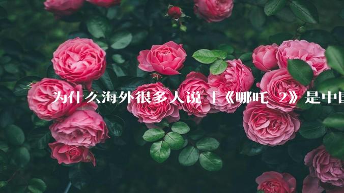 为什么海外很多人说「《哪吒 2》是中国人自己的狂欢」？