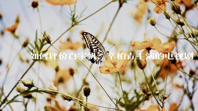 如何评价白宇帆、辛柏青主演的电视剧《护宝寻踪》？